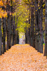 Similar image 19970458