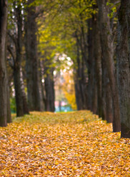 Similar image 19970462