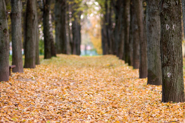 Similar image 19970471