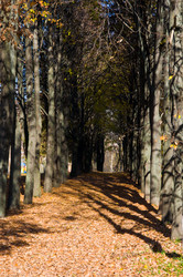 Similar image 19970475