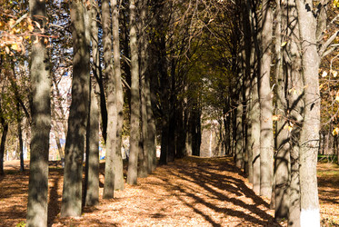 Similar image 19970479