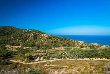 Similar image 19970482