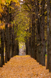 Similar image 19970488