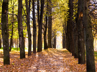 Similar image 19970493