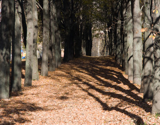 Similar image 19970497