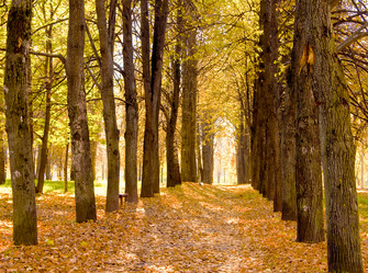 Similar image 19970501