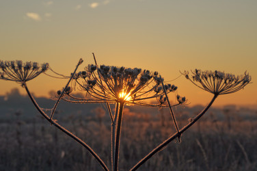 Similar image 19970514