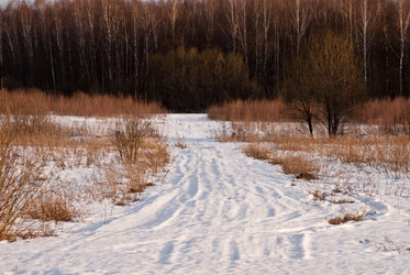 Similar image 19970518