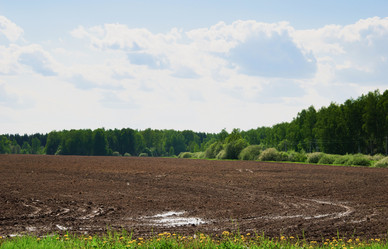 Similar image 19970521