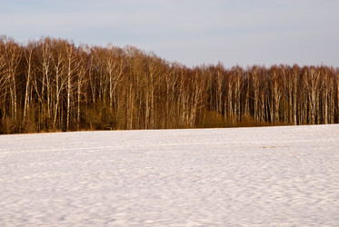 Similar image 19970525