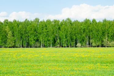 Similar image 19970527