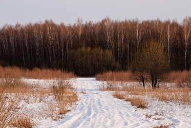 Similar image 19970531