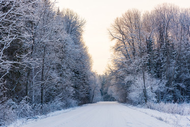 Similar image 19970537