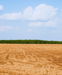 Similar image 19970539