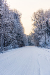 Similar image 19970541