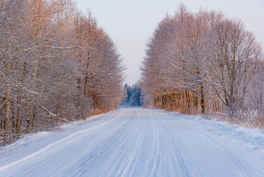 Similar image 19970545