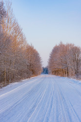 Similar image 19970549