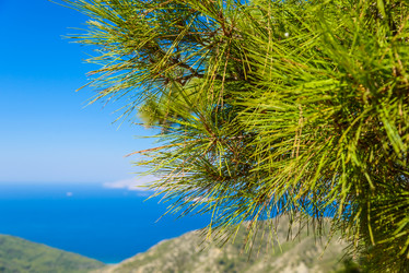 Similar image 19970551