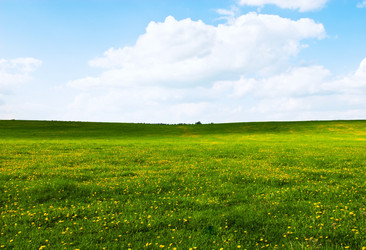 Similar image 19970559