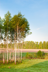 Similar image 19970570