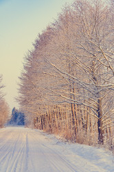 Similar image 19970572