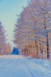 Similar image 19970577