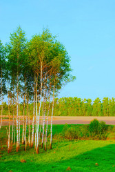 Similar image 19970578