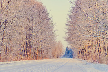 Similar image 19970580