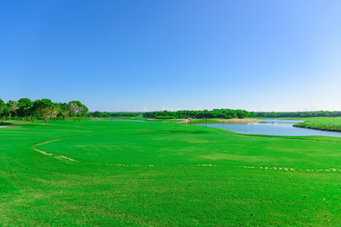 Similar image 19970583