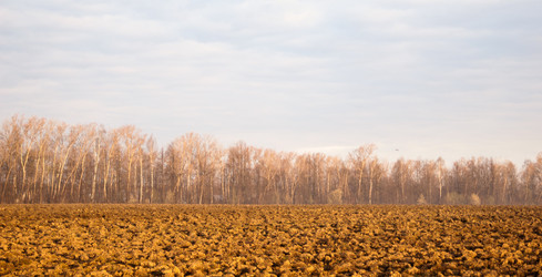 Similar image 19970585