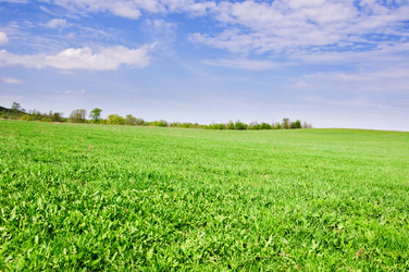 Similar image 19970592