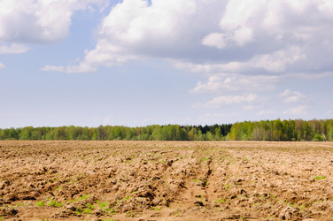 Similar image 19970597