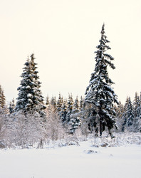 Similar image 19970603