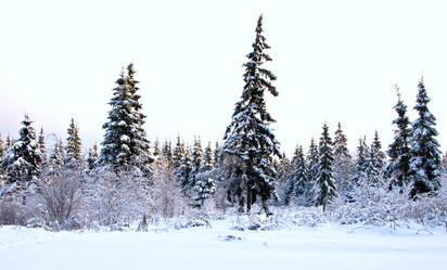 Similar image 19970604