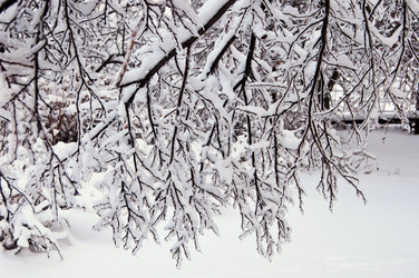 Similar image 19970606