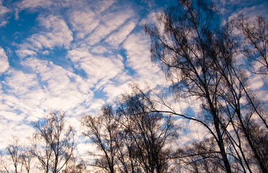 Similar image 19970608