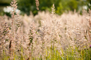 Similar image 19970612