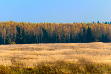 Similar image 19970617