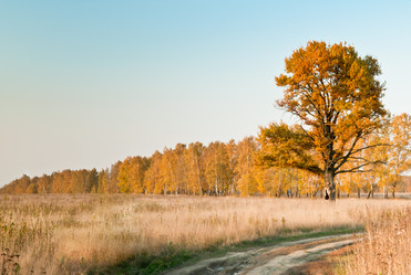 Similar image 19970622