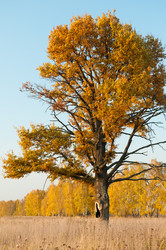 Similar image 19970626