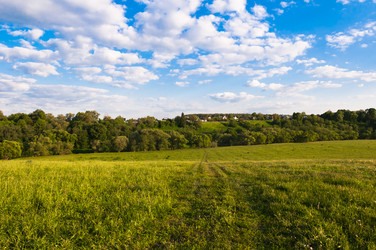 Similar image 19970642