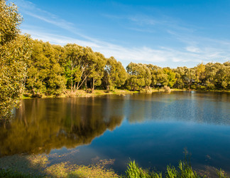 Similar image 19970643