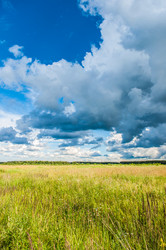 Similar image 19970658