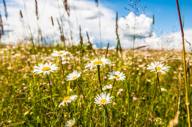 Similar image 19970667