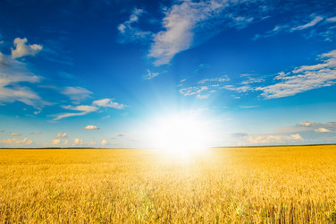 Similar image 19970674