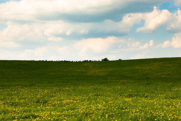 Similar image 19970681