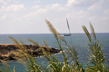 Similar image 19970694