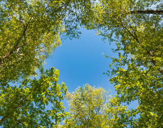 Similar image 19970697