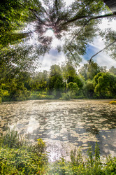 Similar image 19970699