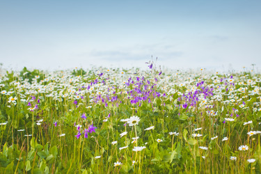 Similar image 19944814